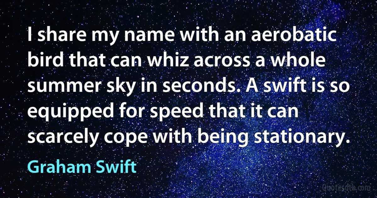 I share my name with an aerobatic bird that can whiz across a whole summer sky in seconds. A swift is so equipped for speed that it can scarcely cope with being stationary. (Graham Swift)