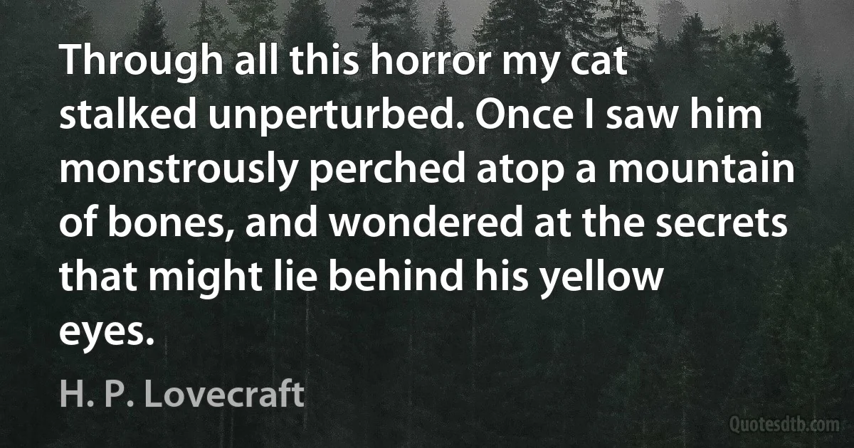 Through all this horror my cat stalked unperturbed. Once I saw him monstrously perched atop a mountain of bones, and wondered at the secrets that might lie behind his yellow eyes. (H. P. Lovecraft)