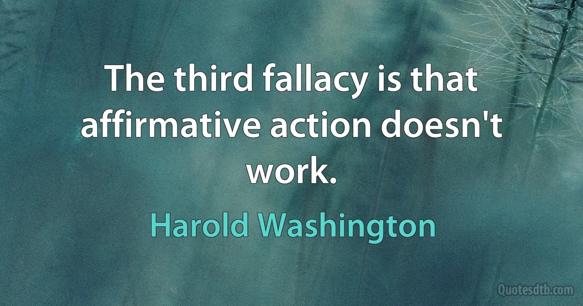 The third fallacy is that affirmative action doesn't work. (Harold Washington)