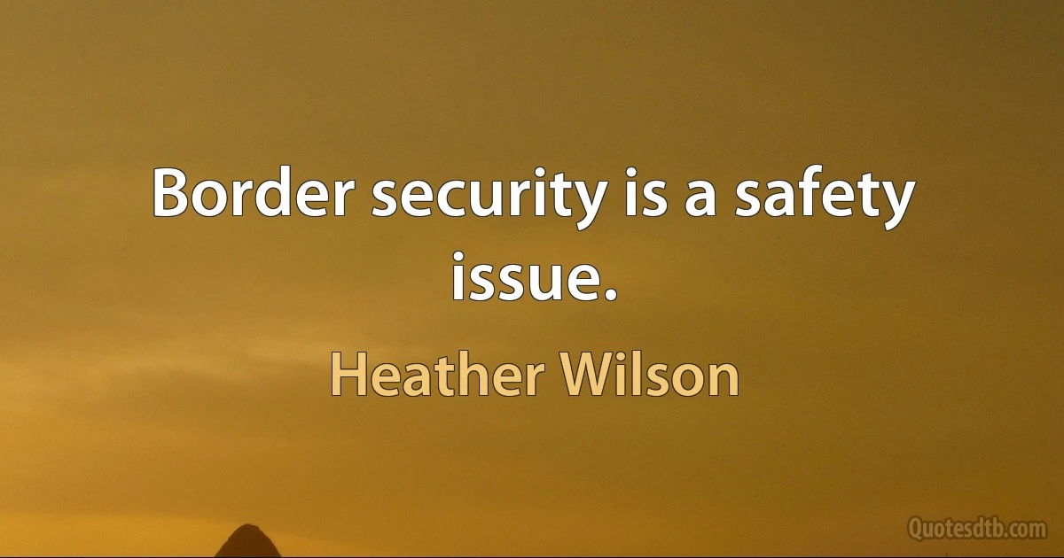 Border security is a safety issue. (Heather Wilson)