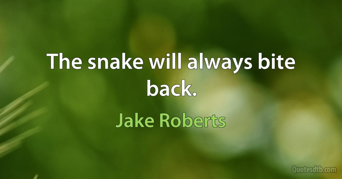 The snake will always bite back. (Jake Roberts)