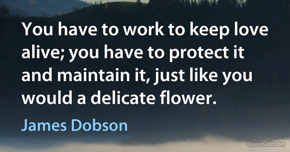 You have to work to keep love alive; you have to protect it and maintain it, just like you would a delicate flower. (James Dobson)