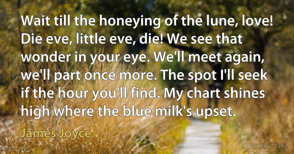 Wait till the honeying of the lune, love! Die eve, little eve, die! We see that wonder in your eye. We'll meet again, we'll part once more. The spot I'll seek if the hour you'll find. My chart shines high where the blue milk's upset. (James Joyce)