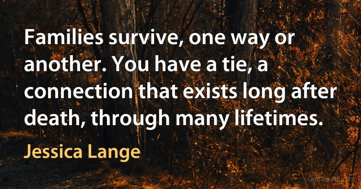 Families survive, one way or another. You have a tie, a connection that exists long after death, through many lifetimes. (Jessica Lange)