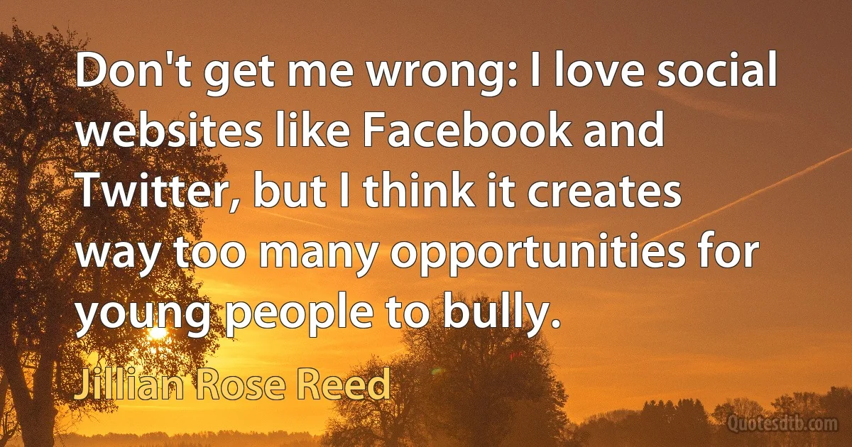 Don't get me wrong: I love social websites like Facebook and Twitter, but I think it creates way too many opportunities for young people to bully. (Jillian Rose Reed)