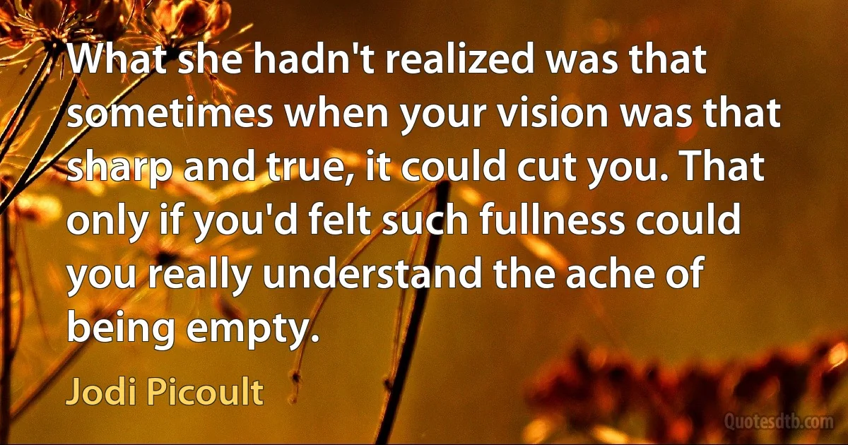 What she hadn't realized was that sometimes when your vision was that sharp and true, it could cut you. That only if you'd felt such fullness could you really understand the ache of being empty. (Jodi Picoult)