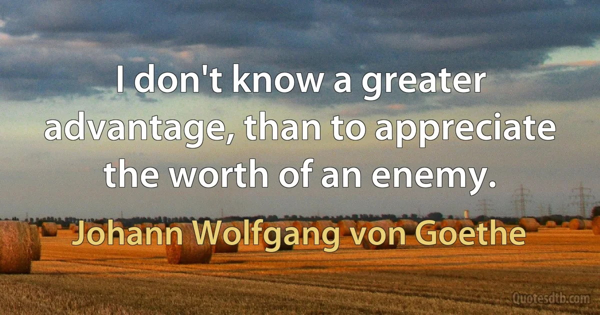 I don't know a greater advantage, than to appreciate the worth of an enemy. (Johann Wolfgang von Goethe)