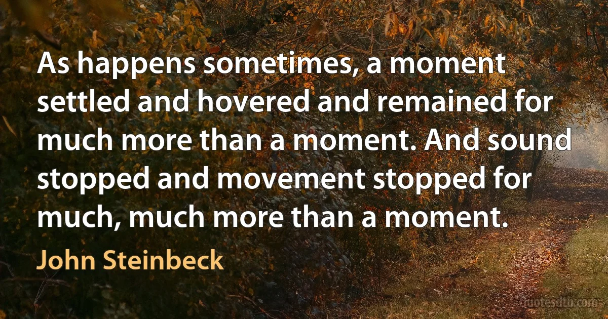 As happens sometimes, a moment settled and hovered and remained for much more than a moment. And sound stopped and movement stopped for much, much more than a moment. (John Steinbeck)