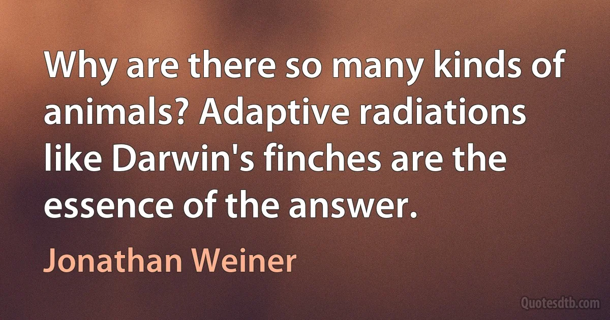 Why are there so many kinds of animals? Adaptive radiations like Darwin's finches are the essence of the answer. (Jonathan Weiner)