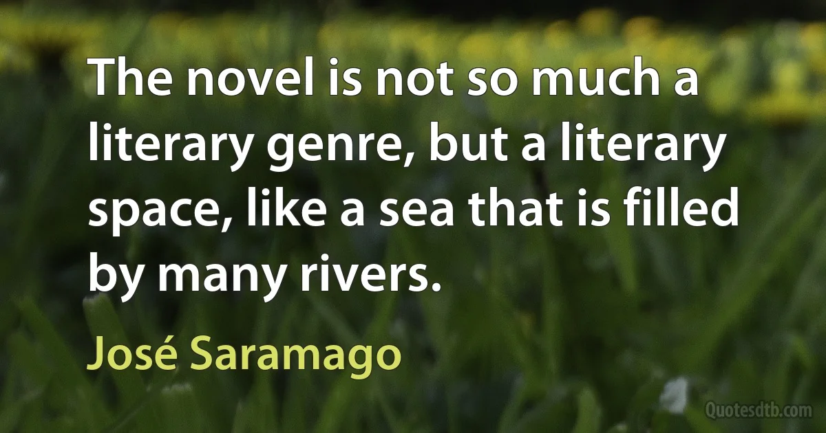 The novel is not so much a literary genre, but a literary space, like a sea that is filled by many rivers. (José Saramago)