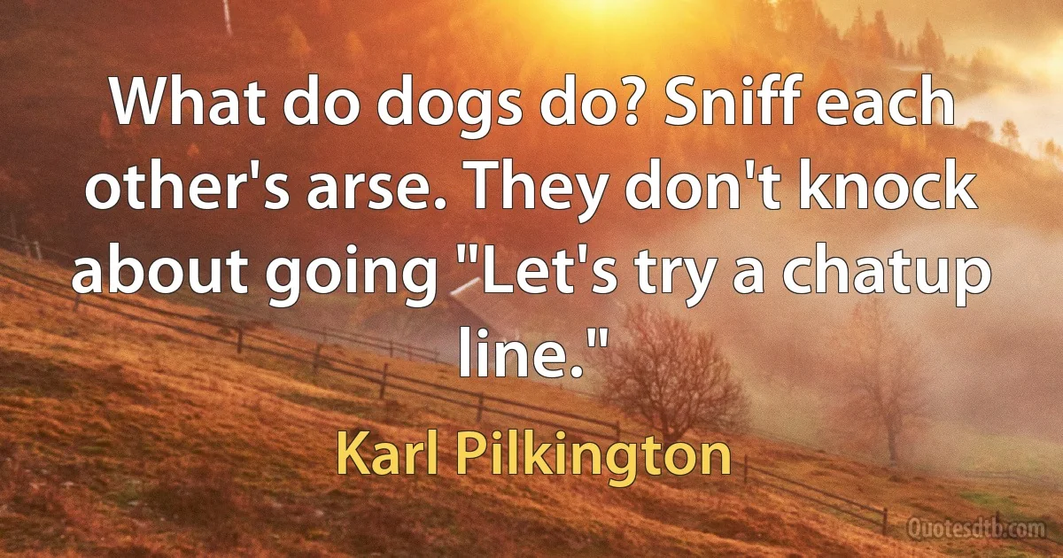 What do dogs do? Sniff each other's arse. They don't knock about going "Let's try a chatup line." (Karl Pilkington)