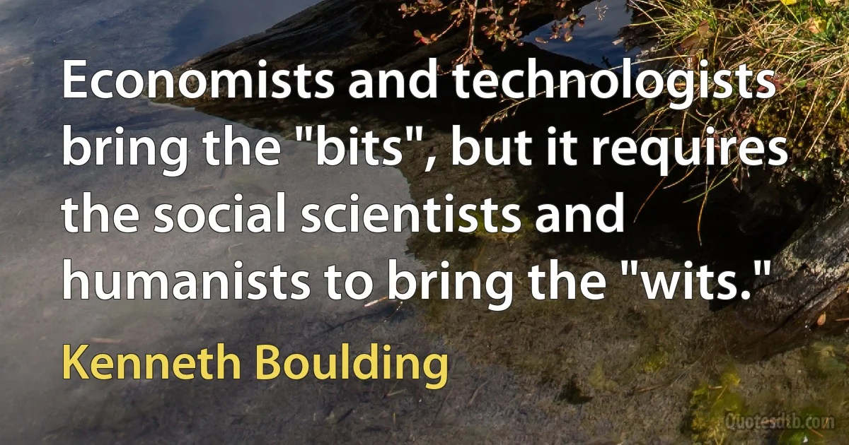 Economists and technologists bring the "bits", but it requires the social scientists and humanists to bring the "wits." (Kenneth Boulding)