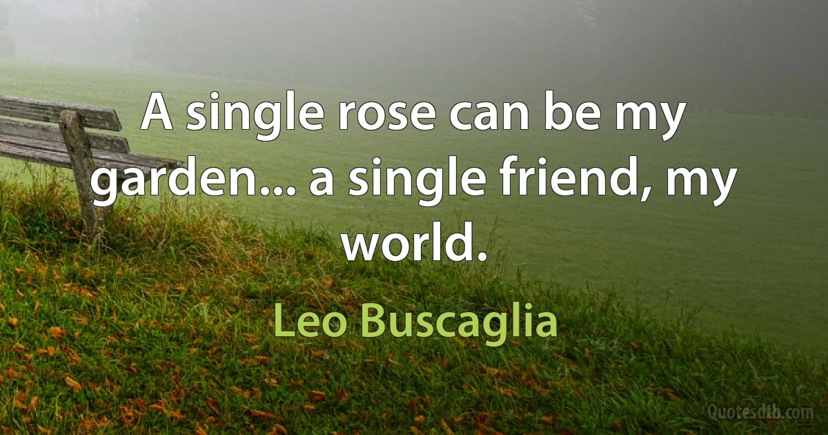 A single rose can be my garden... a single friend, my world. (Leo Buscaglia)