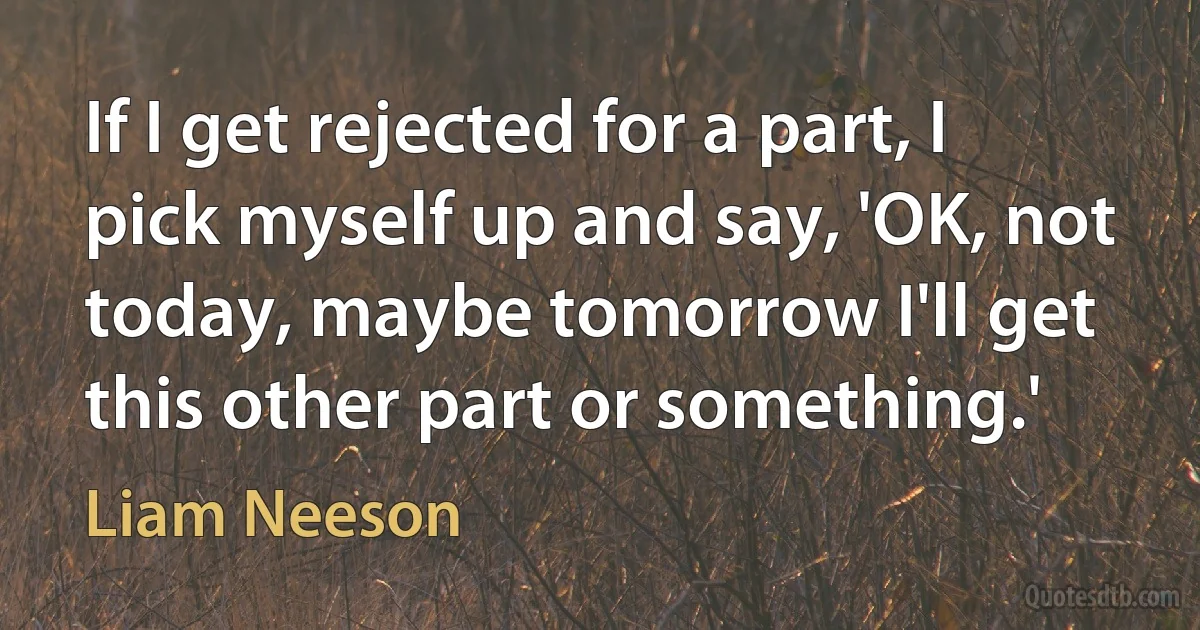 If I get rejected for a part, I pick myself up and say, 'OK, not today, maybe tomorrow I'll get this other part or something.' (Liam Neeson)