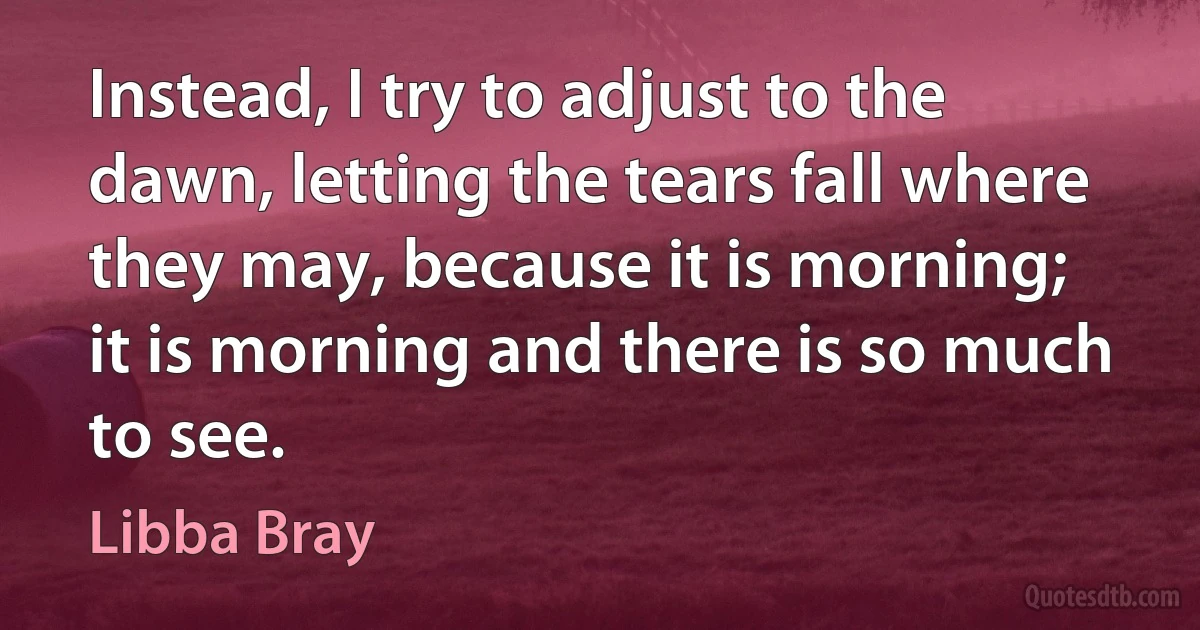 Instead, I try to adjust to the dawn, letting the tears fall where they may, because it is morning; it is morning and there is so much to see. (Libba Bray)