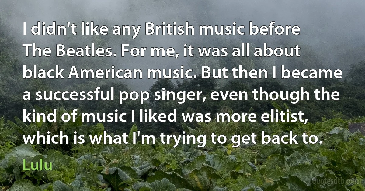 I didn't like any British music before The Beatles. For me, it was all about black American music. But then I became a successful pop singer, even though the kind of music I liked was more elitist, which is what I'm trying to get back to. (Lulu)