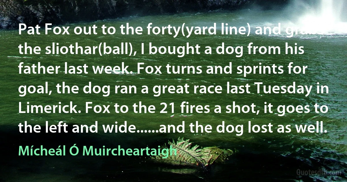 Pat Fox out to the forty(yard line) and grabs the sliothar(ball), I bought a dog from his father last week. Fox turns and sprints for goal, the dog ran a great race last Tuesday in Limerick. Fox to the 21 fires a shot, it goes to the left and wide......and the dog lost as well. (Mícheál Ó Muircheartaigh)