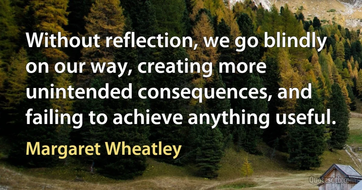 Without reflection, we go blindly on our way, creating more unintended consequences, and failing to achieve anything useful. (Margaret Wheatley)