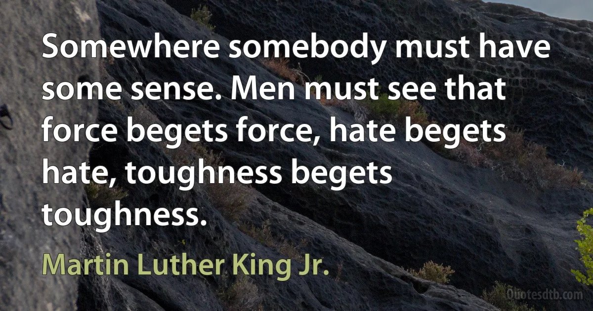 Somewhere somebody must have some sense. Men must see that force begets force, hate begets hate, toughness begets toughness. (Martin Luther King Jr.)