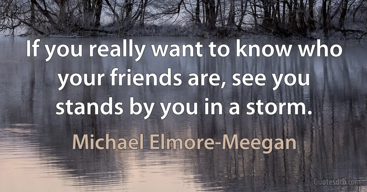 If you really want to know who your friends are, see you stands by you in a storm. (Michael Elmore-Meegan)