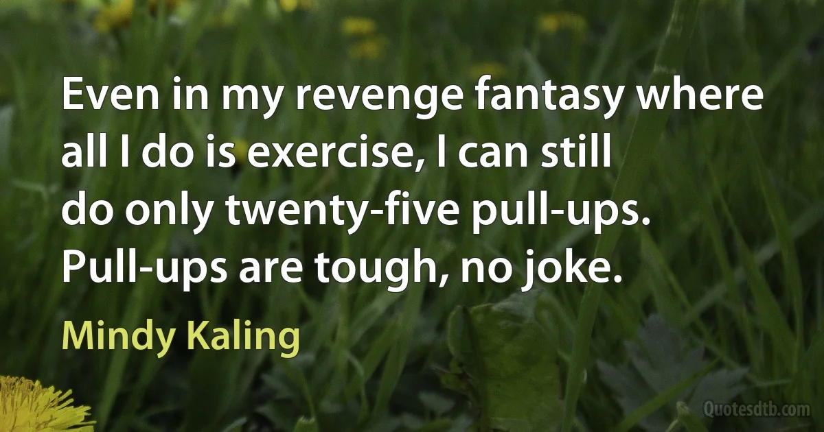 Even in my revenge fantasy where all I do is exercise, I can still do only twenty-five pull-ups. Pull-ups are tough, no joke. (Mindy Kaling)