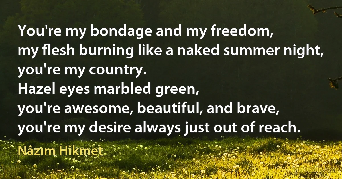 You're my bondage and my freedom,
my flesh burning like a naked summer night,
you're my country.
Hazel eyes marbled green,
you're awesome, beautiful, and brave,
you're my desire always just out of reach. (Nâzım Hikmet)