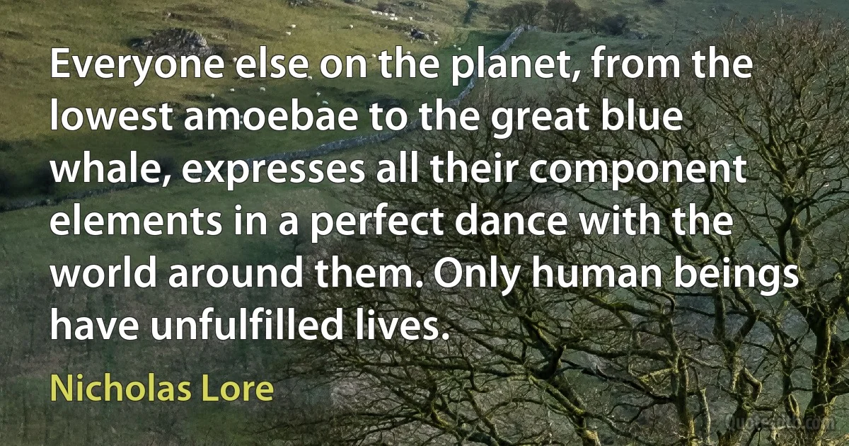 Everyone else on the planet, from the lowest amoebae to the great blue whale, expresses all their component elements in a perfect dance with the world around them. Only human beings have unfulfilled lives. (Nicholas Lore)