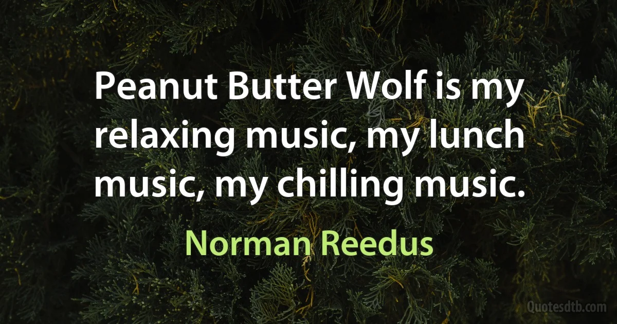 Peanut Butter Wolf is my relaxing music, my lunch music, my chilling music. (Norman Reedus)