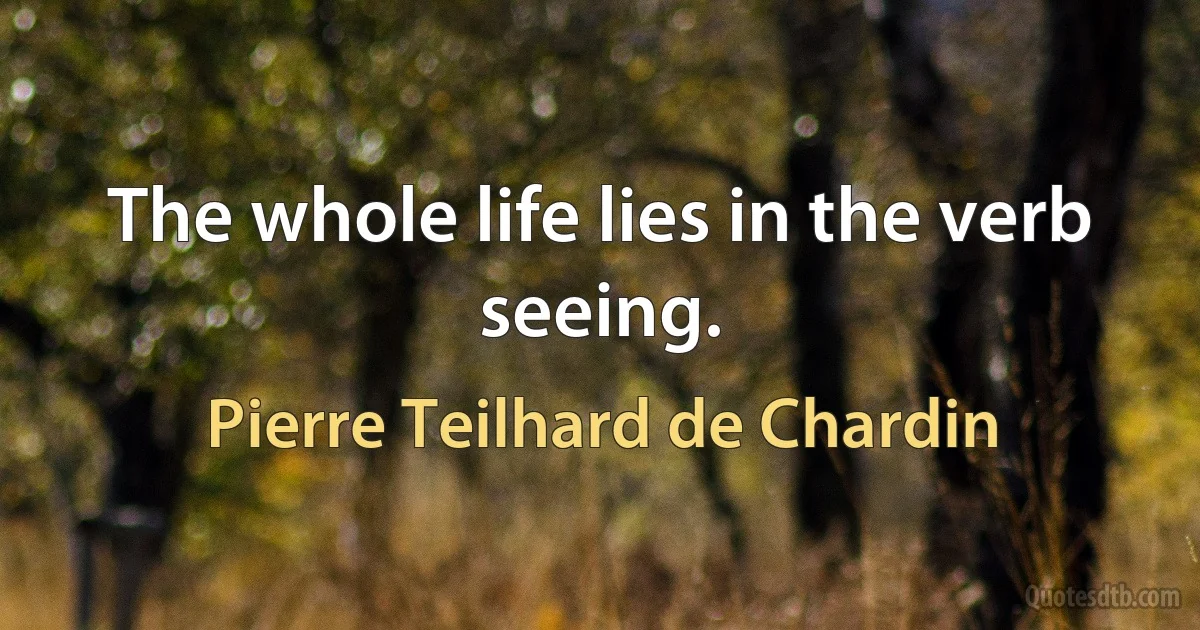 The whole life lies in the verb seeing. (Pierre Teilhard de Chardin)