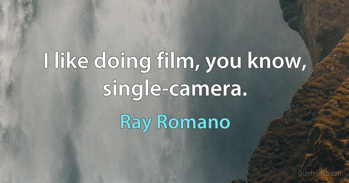 I like doing film, you know, single-camera. (Ray Romano)