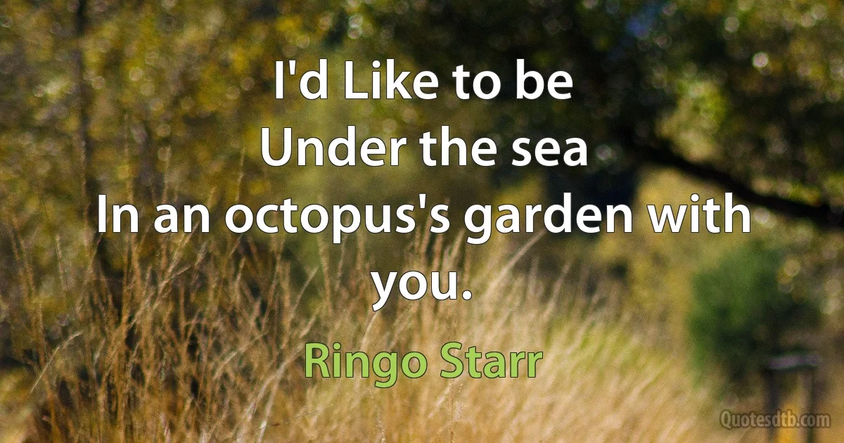 I'd Like to be
Under the sea
In an octopus's garden with you. (Ringo Starr)