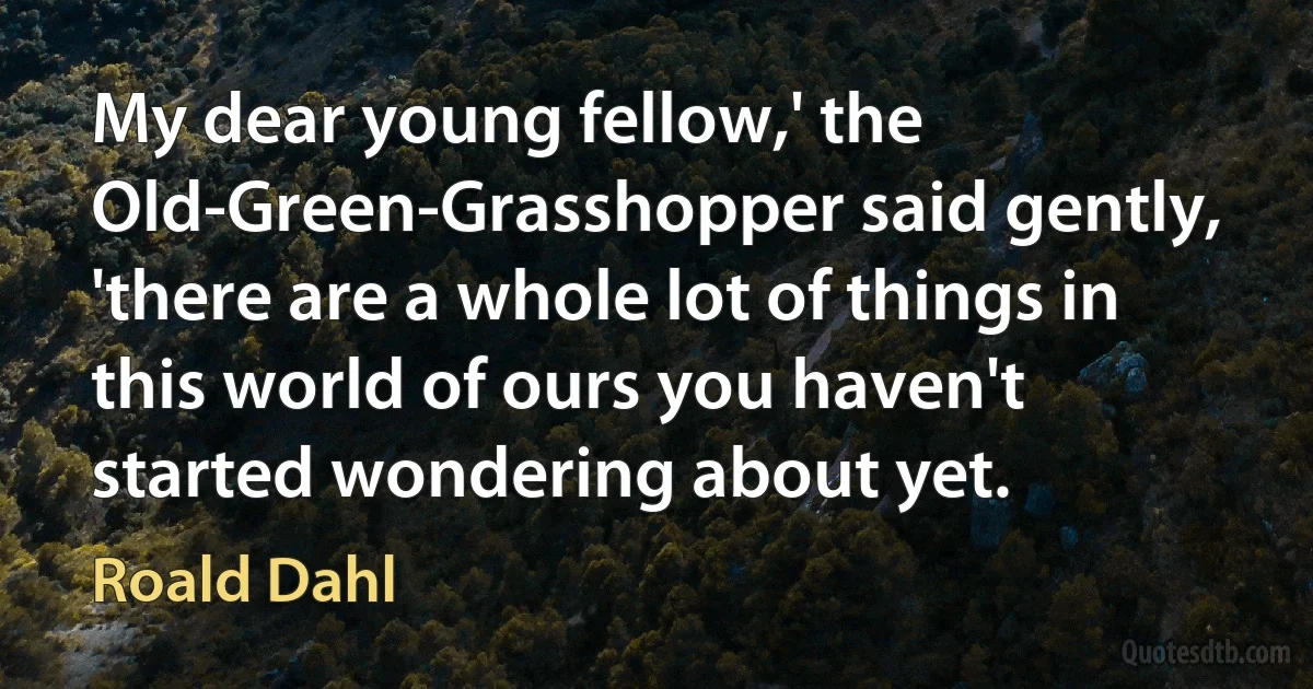 My dear young fellow,' the Old-Green-Grasshopper said gently, 'there are a whole lot of things in this world of ours you haven't started wondering about yet. (Roald Dahl)