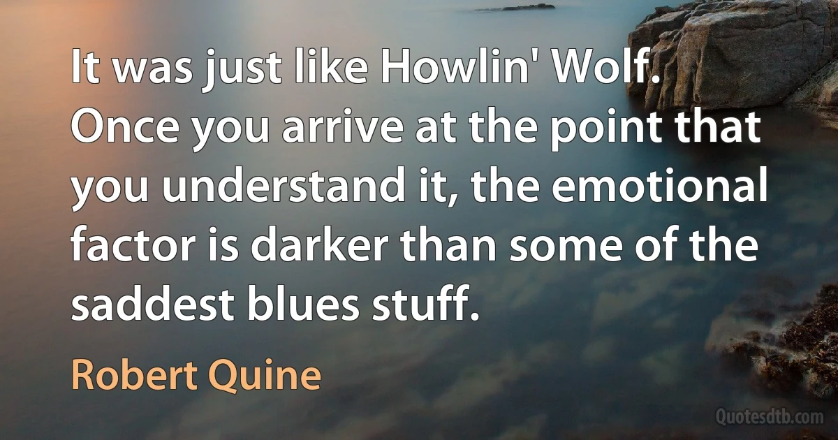 It was just like Howlin' Wolf. Once you arrive at the point that you understand it, the emotional factor is darker than some of the saddest blues stuff. (Robert Quine)