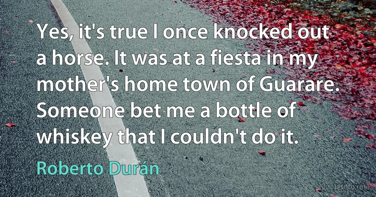 Yes, it's true I once knocked out a horse. It was at a fiesta in my mother's home town of Guarare. Someone bet me a bottle of whiskey that I couldn't do it. (Roberto Durán)