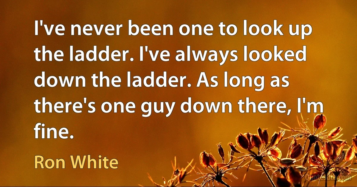 I've never been one to look up the ladder. I've always looked down the ladder. As long as there's one guy down there, I'm fine. (Ron White)