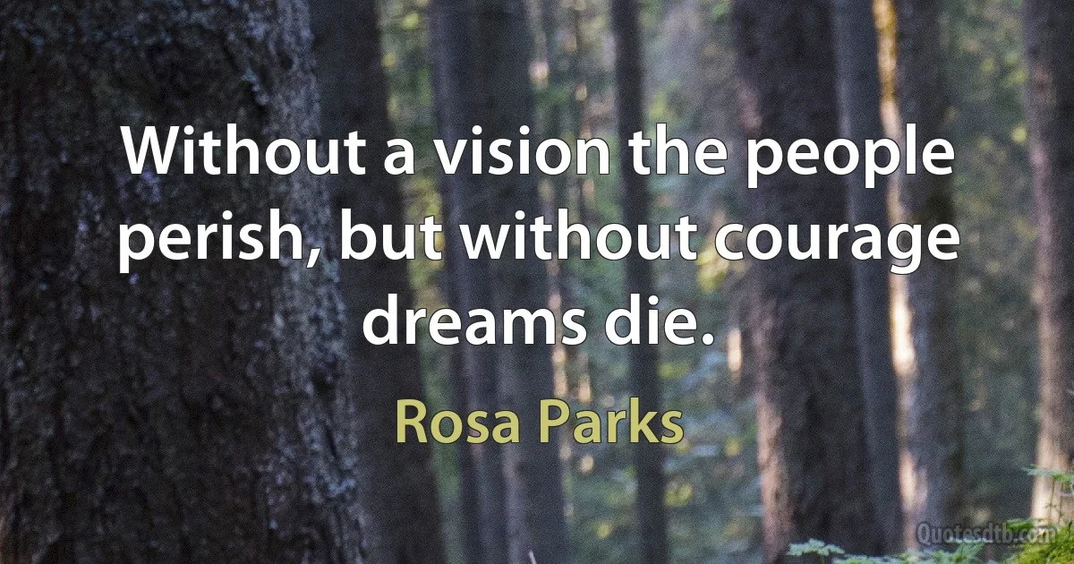 Without a vision the people perish, but without courage dreams die. (Rosa Parks)