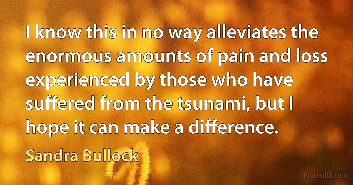 I know this in no way alleviates the enormous amounts of pain and loss experienced by those who have suffered from the tsunami, but I hope it can make a difference. (Sandra Bullock)