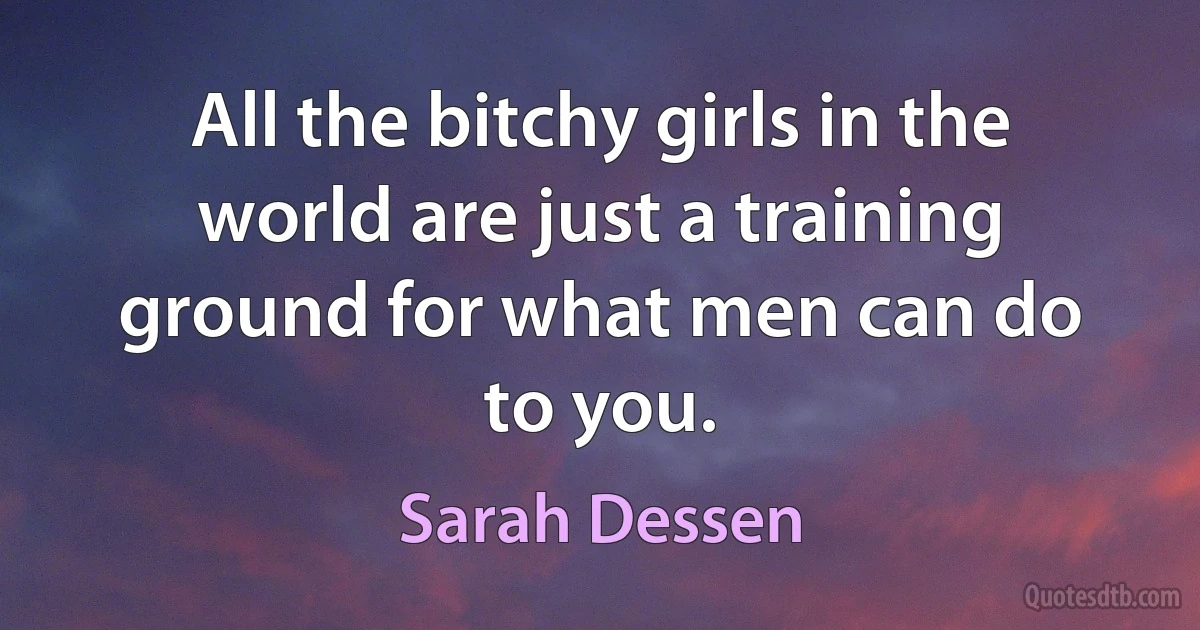 All the bitchy girls in the world are just a training ground for what men can do to you. (Sarah Dessen)