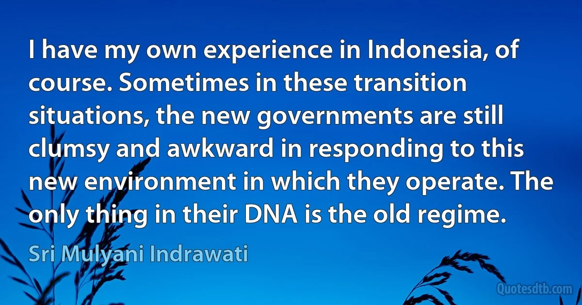 I have my own experience in Indonesia, of course. Sometimes in these transition situations, the new governments are still clumsy and awkward in responding to this new environment in which they operate. The only thing in their DNA is the old regime. (Sri Mulyani Indrawati)