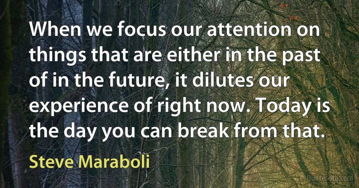 When we focus our attention on things that are either in the past of in the future, it dilutes our experience of right now. Today is the day you can break from that. (Steve Maraboli)