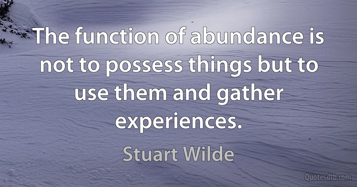 The function of abundance is not to possess things but to use them and gather experiences. (Stuart Wilde)