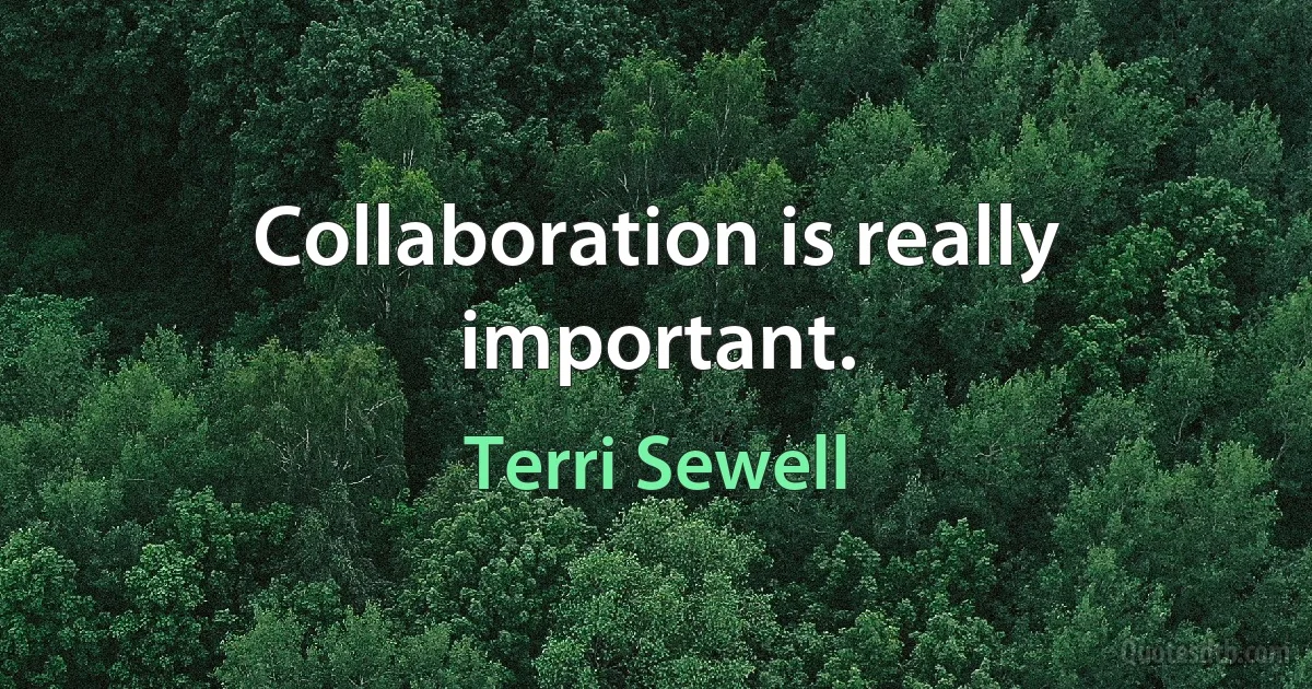 Collaboration is really important. (Terri Sewell)