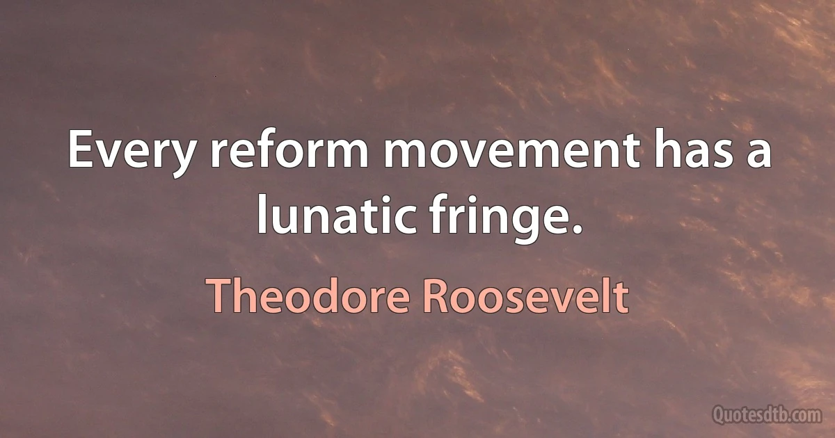 Every reform movement has a lunatic fringe. (Theodore Roosevelt)