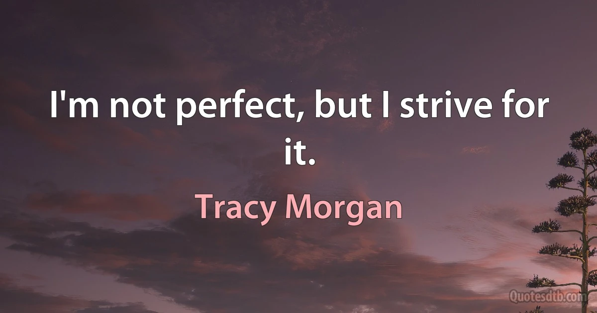 I'm not perfect, but I strive for it. (Tracy Morgan)