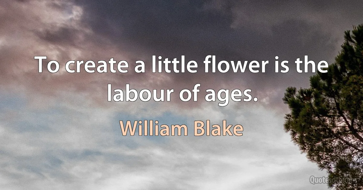 To create a little flower is the labour of ages. (William Blake)