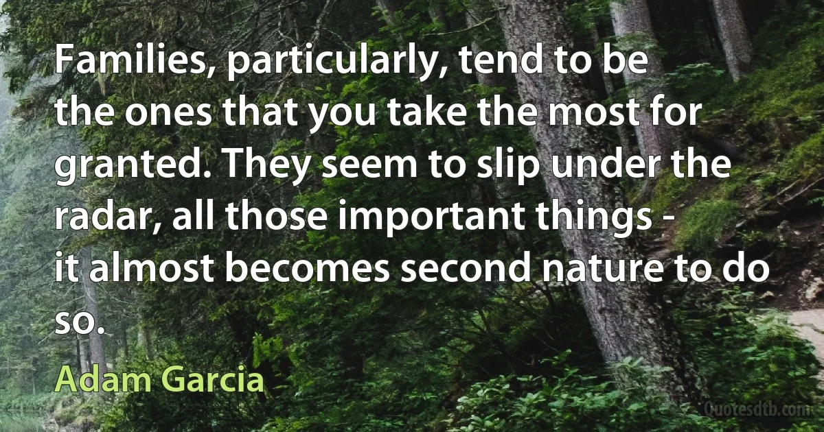 Families, particularly, tend to be the ones that you take the most for granted. They seem to slip under the radar, all those important things - it almost becomes second nature to do so. (Adam Garcia)