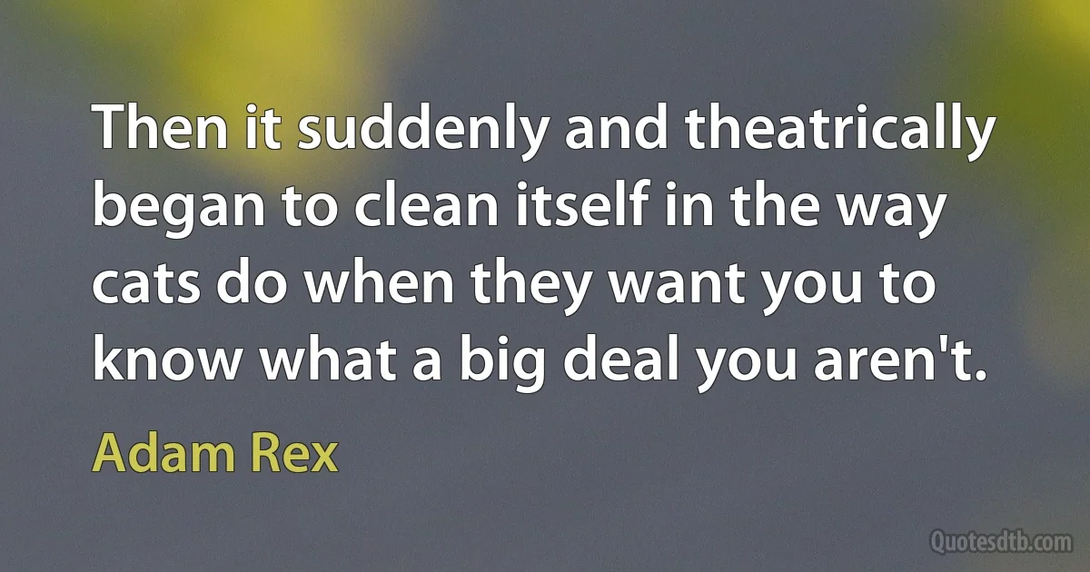 Then it suddenly and theatrically began to clean itself in the way cats do when they want you to know what a big deal you aren't. (Adam Rex)