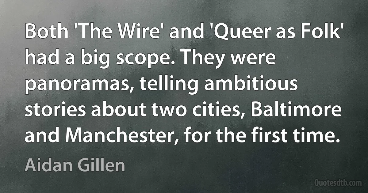 Both 'The Wire' and 'Queer as Folk' had a big scope. They were panoramas, telling ambitious stories about two cities, Baltimore and Manchester, for the first time. (Aidan Gillen)