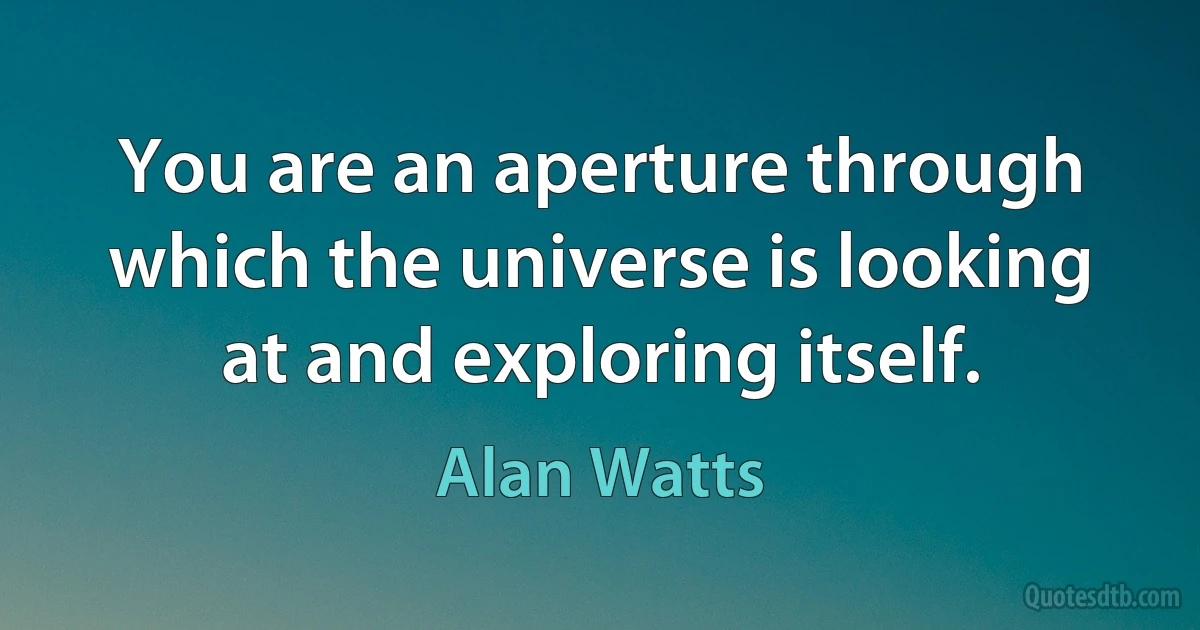 You are an aperture through which the universe is looking at and exploring itself. (Alan Watts)