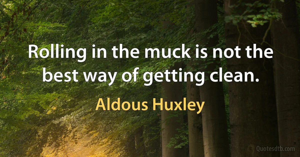 Rolling in the muck is not the best way of getting clean. (Aldous Huxley)